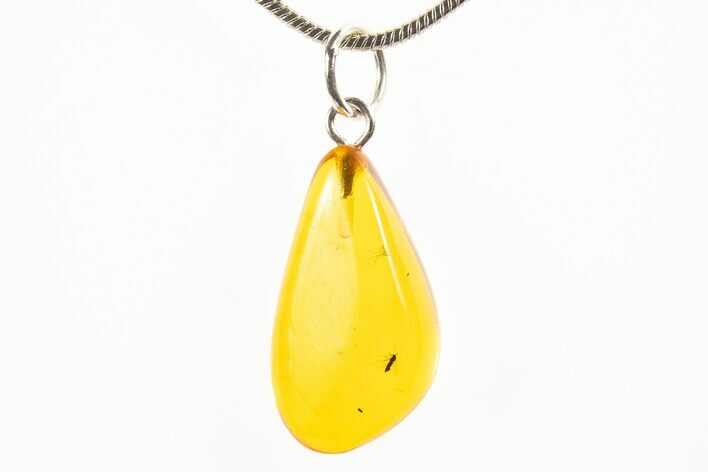 Polished Baltic Amber Pendant (Necklace) - Contains Fly! #312235